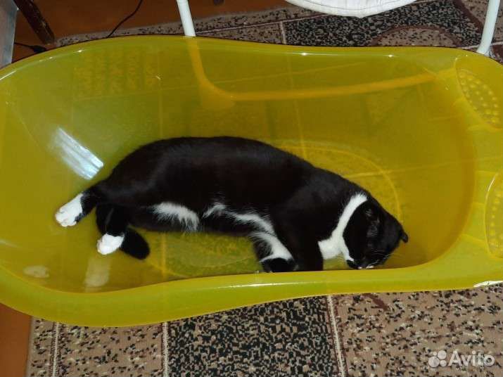 Ванночка для купания с горкой