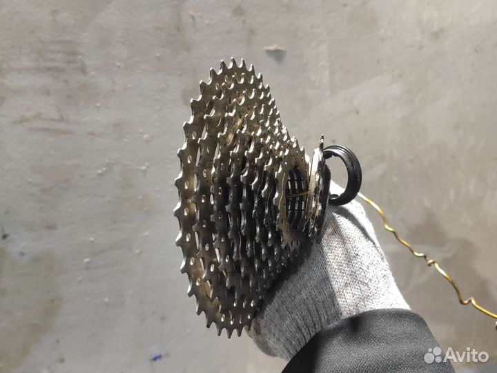 Звезда задняя, 11 36