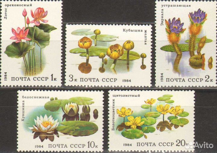 Флора на марках СССР