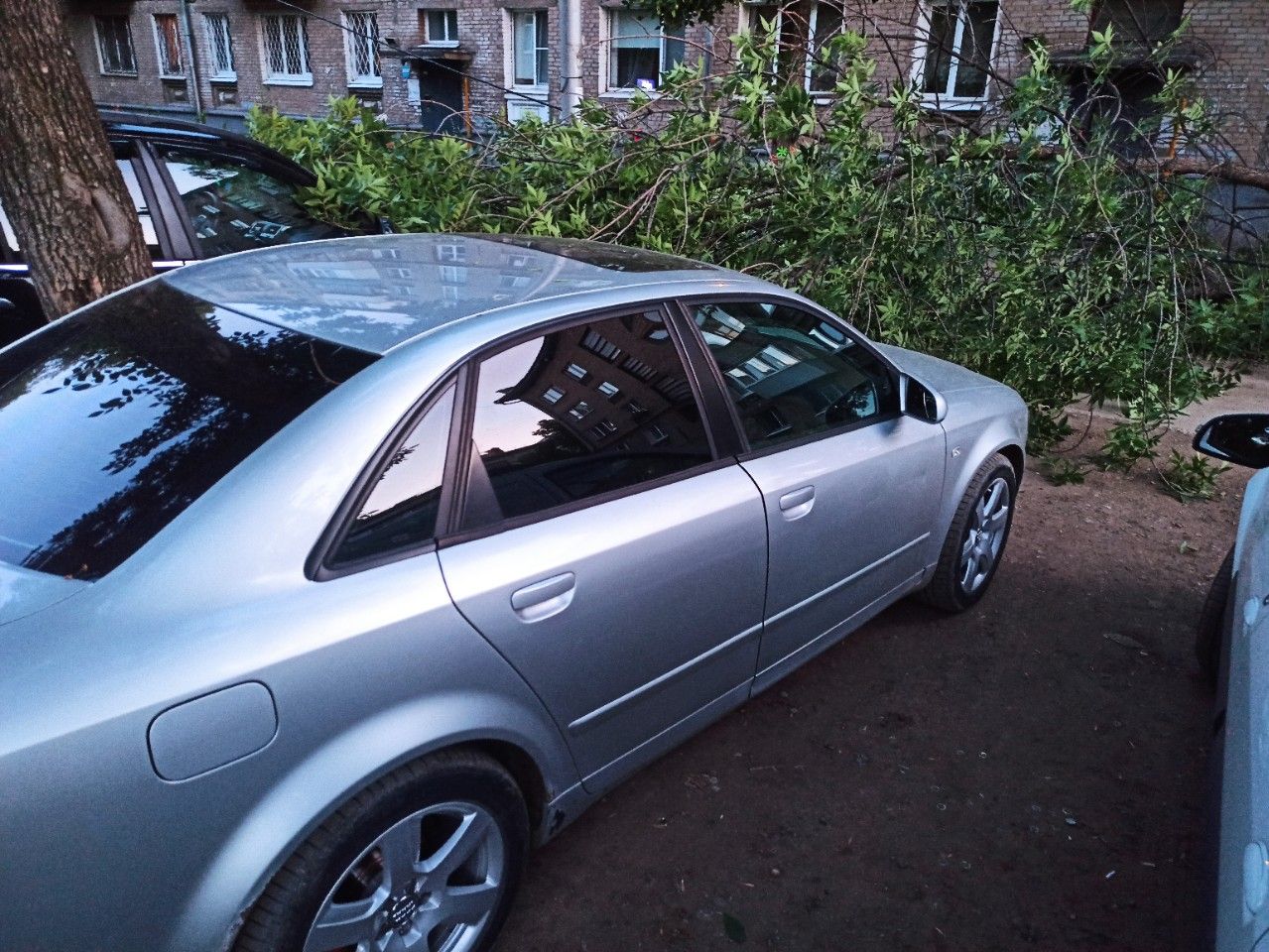 Audi A4: фото владельца