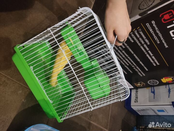 Товары для грызунов