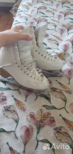 Коньки фигурные edea overture 230