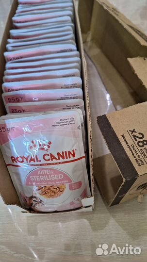 Royal canin влажный для котят