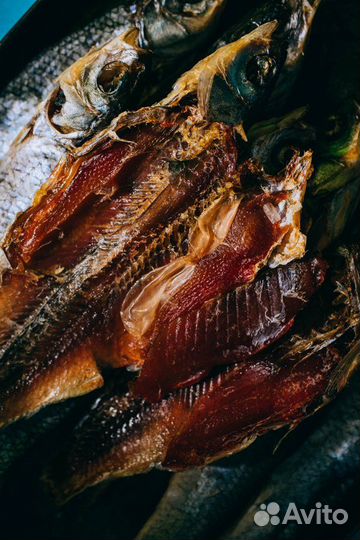 Чебак кышик