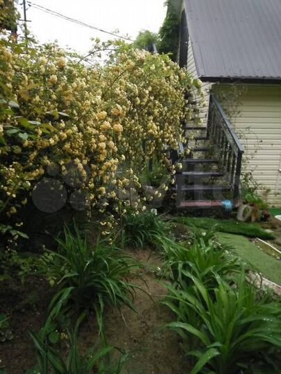 Дом 97 м² на участке 7,4 сот.