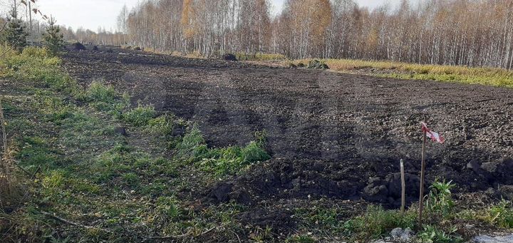 Участок 10 сот. (СНТ, ДНП)