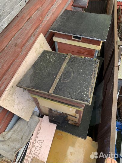 Улей с пчелами б/у