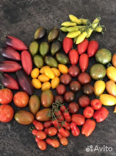 Семена томатов