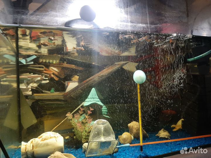 Аквариум с рыбками продам