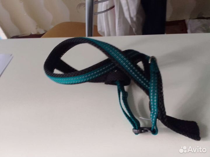 Шлейка для мелких собак: Йорк