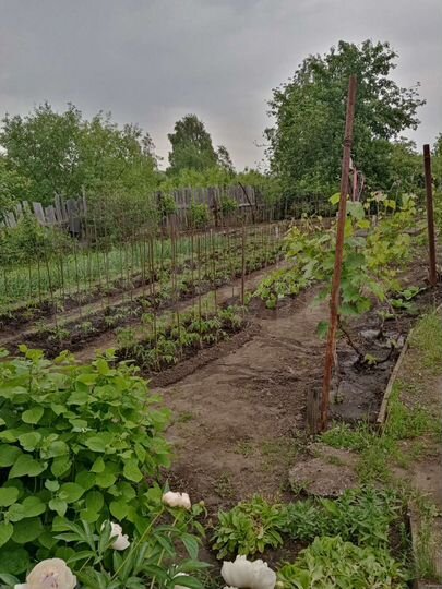 Участок 5 сот. (СНТ, ДНП)