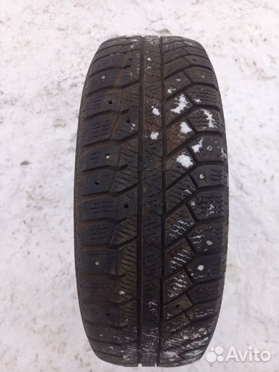 Continental ContiWinterViking 2 175/70 R13