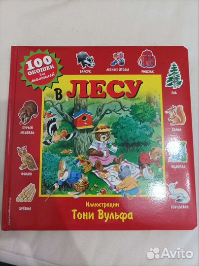 Детские книги с окошками clever / Тони вульф