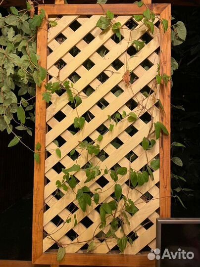 Садовая мебель из дерева