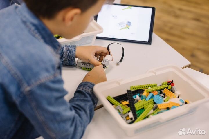 Занятия по робототехнике и программированию