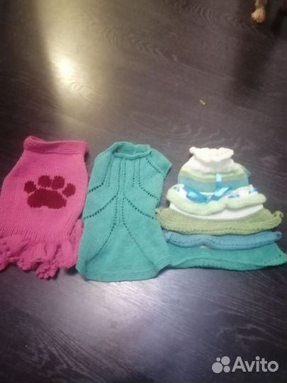 Одежда для животных новое