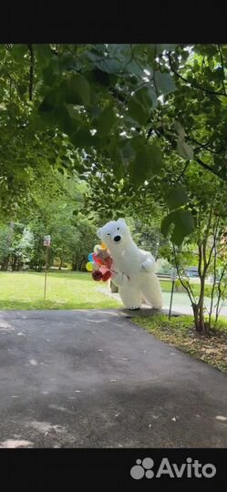 Поздравление от белого мишки