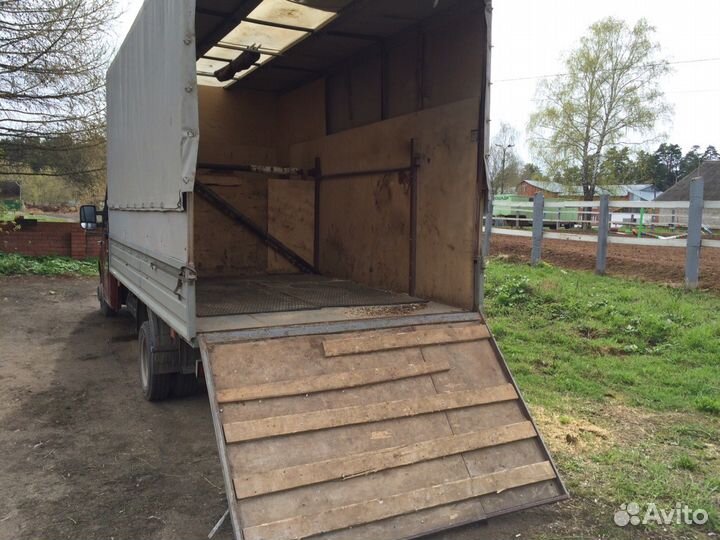 Перевозка лошадей на оборудованной коневозке по РФ