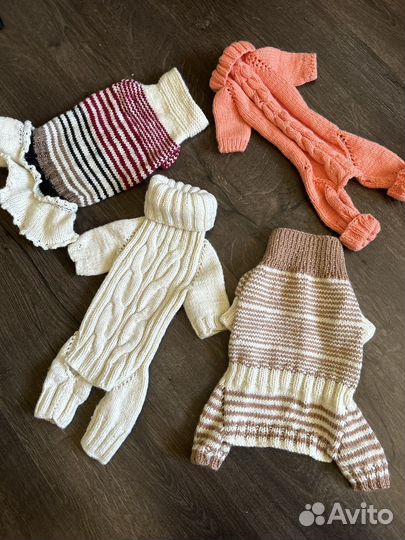 Одежда для собак