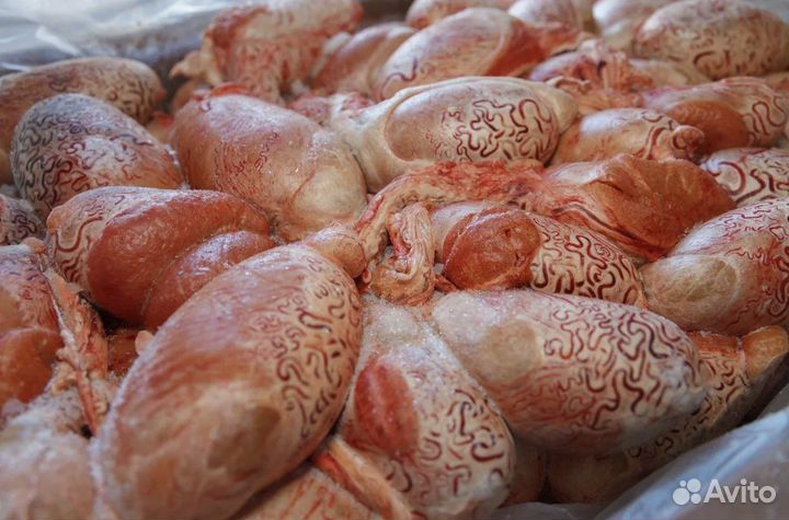 Мясо для собак