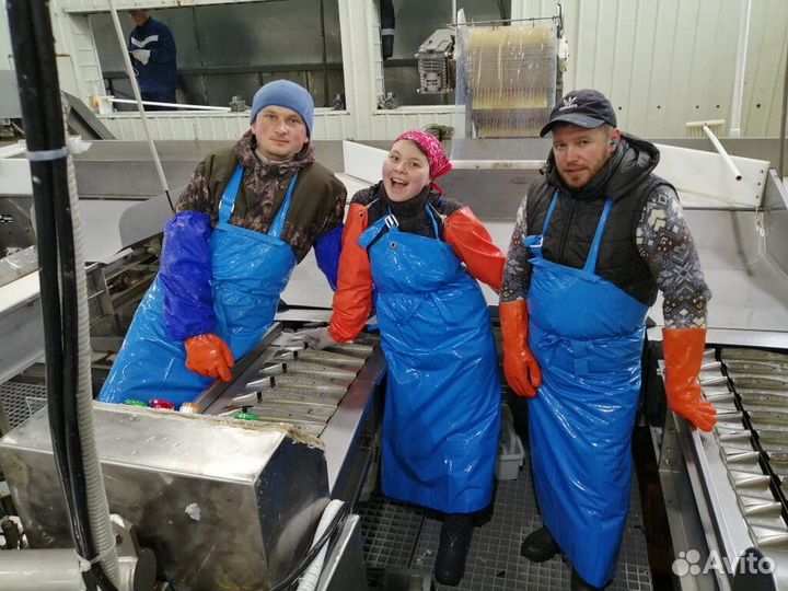 Обработчик рыбы