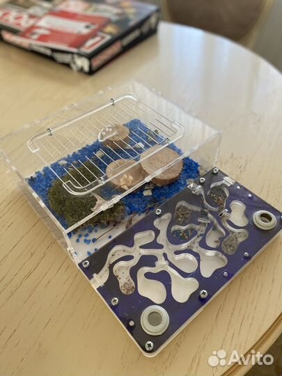 Муравьиная ферма без муравьев б/у