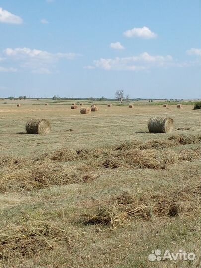 Сено в рулонах