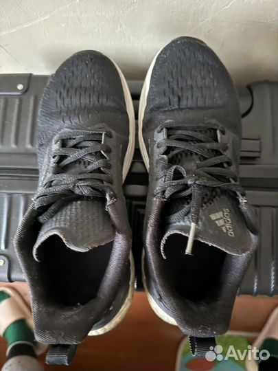 Кроссовки женские adidas