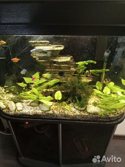 Аквариум с тумбой 120 литров