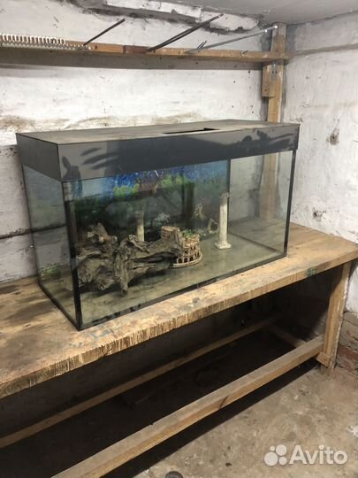 Аквариум
