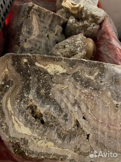 Натуральный корм для собак