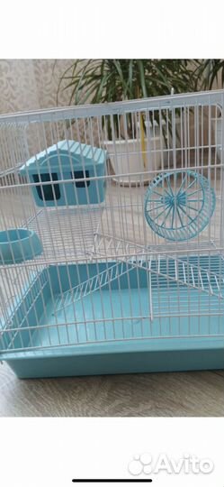 Новая клетка с джунгарским хомячком
