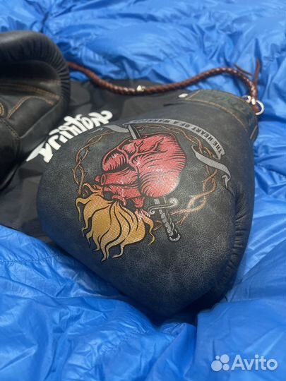 Боксёрские перчатки Fairtex The Heart of Warrior