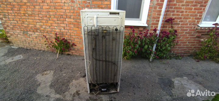 Холодильник Минск 11