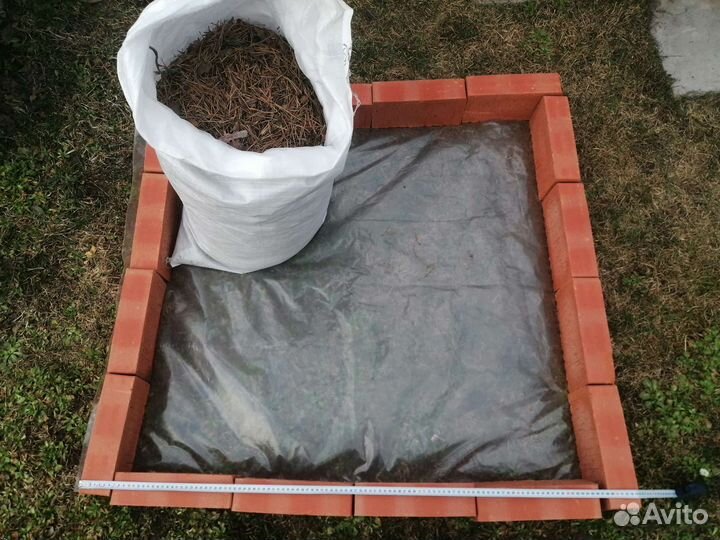 Сосновый опад