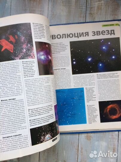 Журнал Древо познания