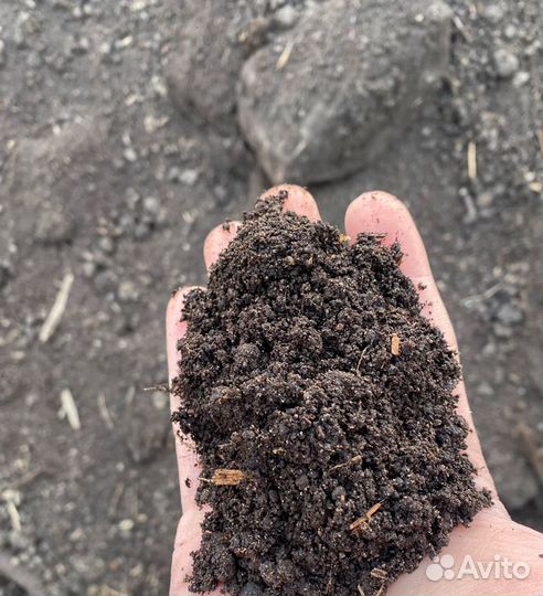 Сапропель. Чернозём. Плодородка