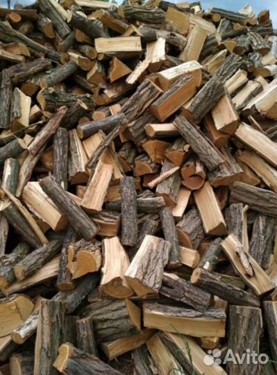 Дрова дуб
