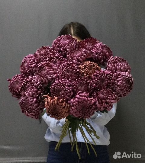 Цветы, Хризантемы. Ставрополь. Доставка