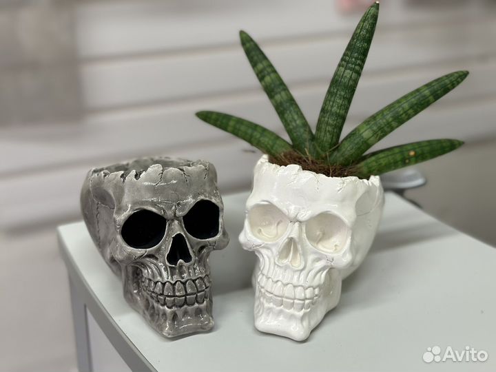 Кашпо органайзер Череп