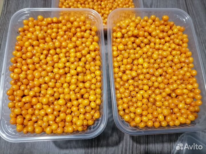 Облепиха свежая