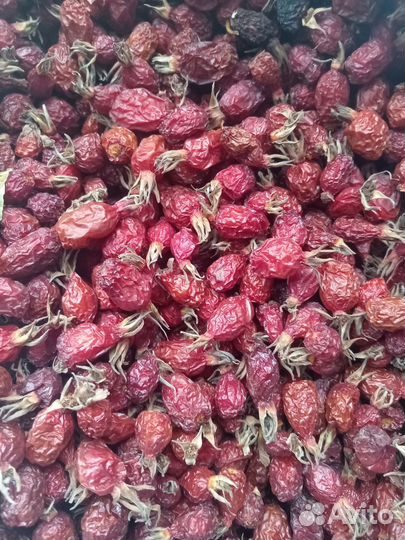 Шиповник сушеный