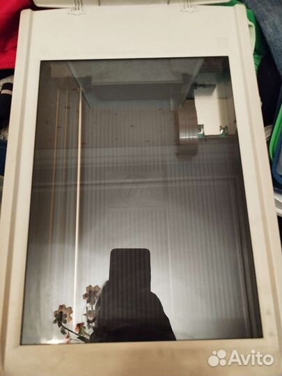 Сканер hp scanjet 2400