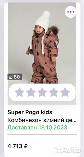 Комбинезон зимний Pogo Kids 80