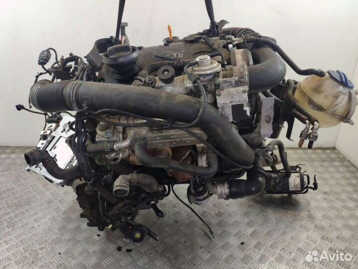 Двигатель volkswagen golf 5 1.9 tdi BKC 2004 г