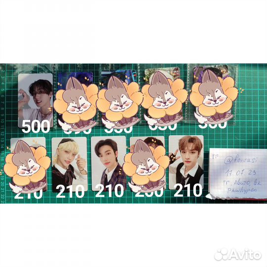 Stray Kids (карты и альбомы)