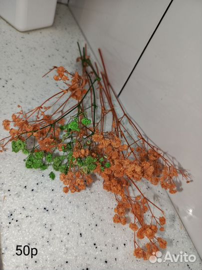 Сухоцветы для творчества(стабилизированные)