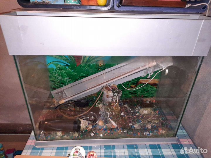 Аквариум