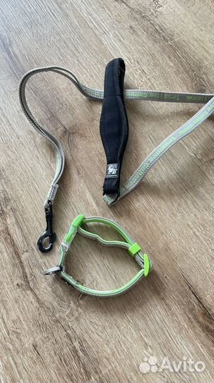 Ошейник и поводок