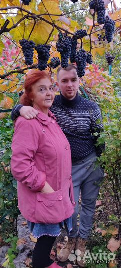 Продаются саженцы винограда